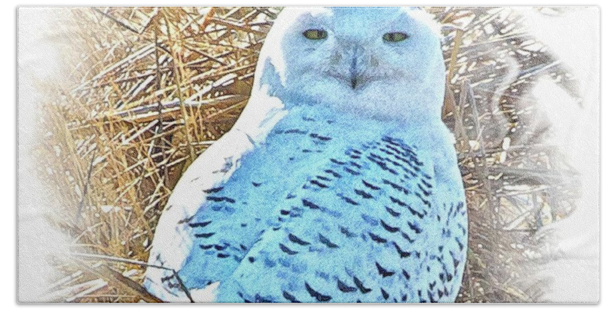 Snowy Owl Beach Sheet featuring the photograph Snowy Owl In Thicket Frame 1 by Constantine Gregory