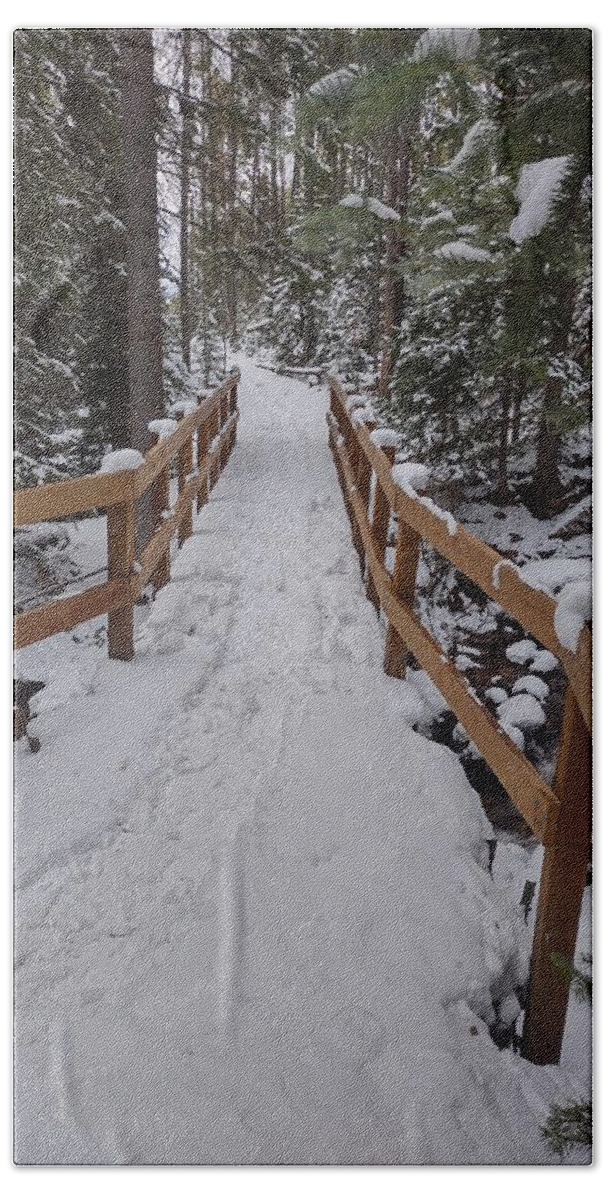 Landscape Beach Towel featuring the photograph Snowy pathway by Erin Mitchell