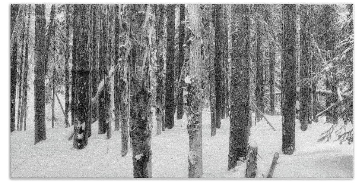 Black And White Photography Beach Towel featuring the photograph Snowy Trees Uniquely the Same by Allan Van Gasbeck