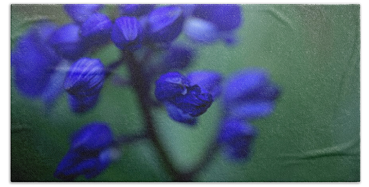 Blue Ginger Beach Towel featuring the photograph Soft Seduction in Blue by Heidi Fickinger