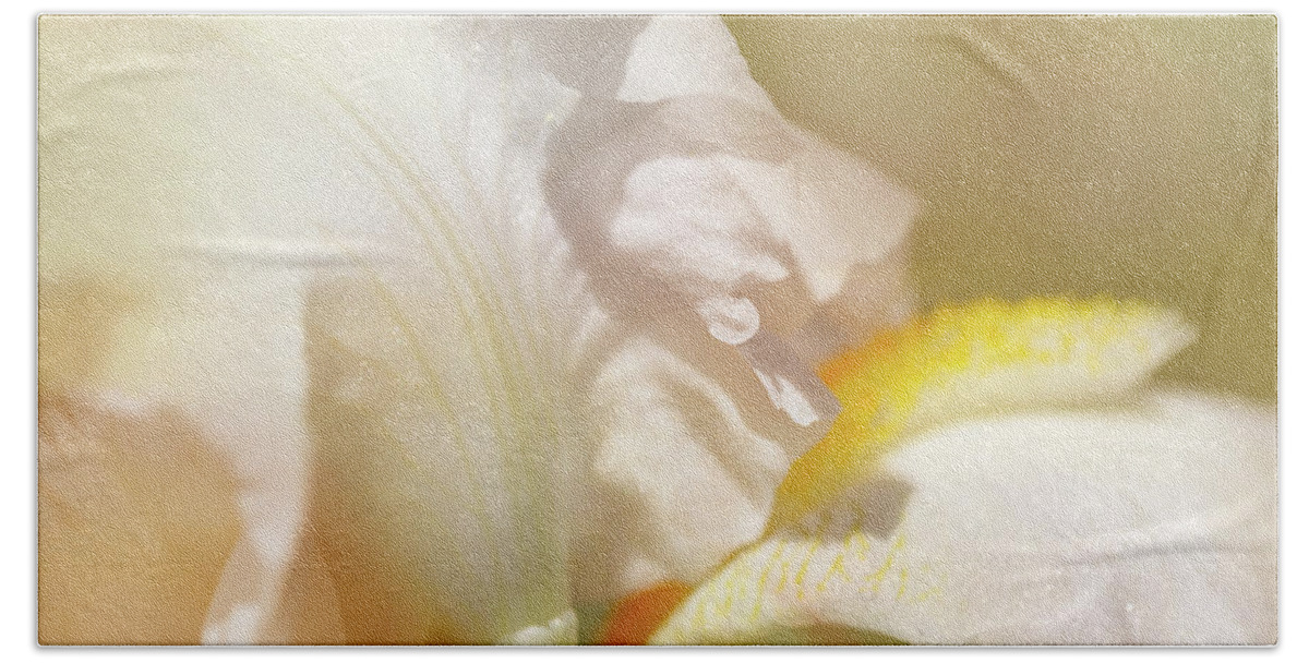 Iris Beard Beach Towel featuring the photograph Soft White Iris by Sally Simon