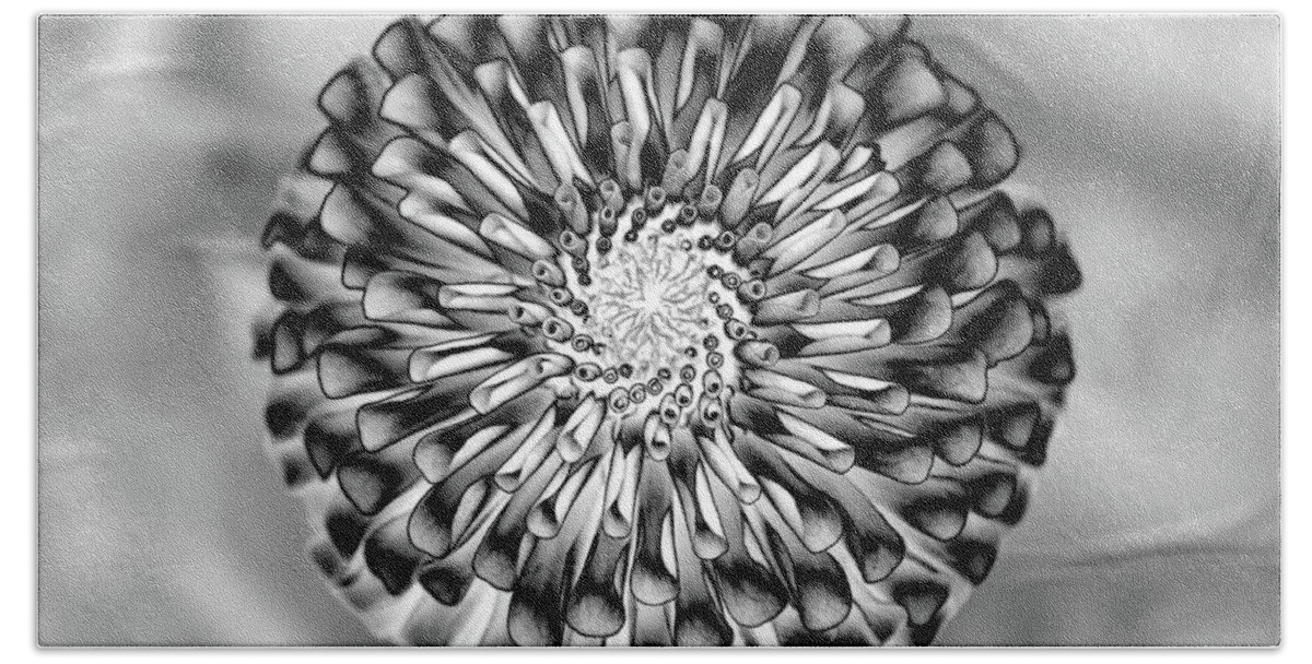 Solarize; Meadowlark Garden Center; Dahlia; Flower; Black And White Beach Towel featuring the photograph Solarized Dahlia by Georgette Grossman