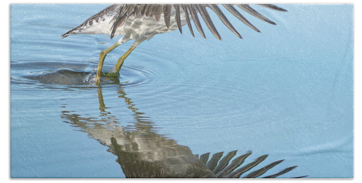 Chevalier Solitaire Beach Towel featuring the photograph Solitary sandpiper by Carl Marceau