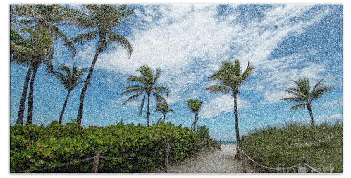 Palm Beach Towel featuring the photograph South Beach Miami, Florida Beach Entrance with Palm Trees by Beachtown Views