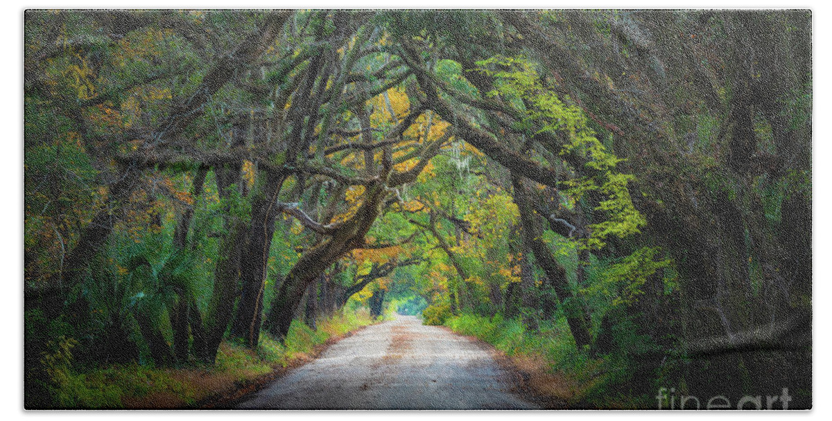 America Beach Towel featuring the photograph South Carolina Road by Inge Johnsson