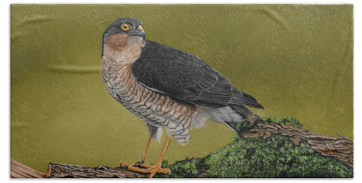 Sparrow Hawk Beach Towel featuring the painting Sparrowhawk Bird of Prey by Karie-ann Cooper