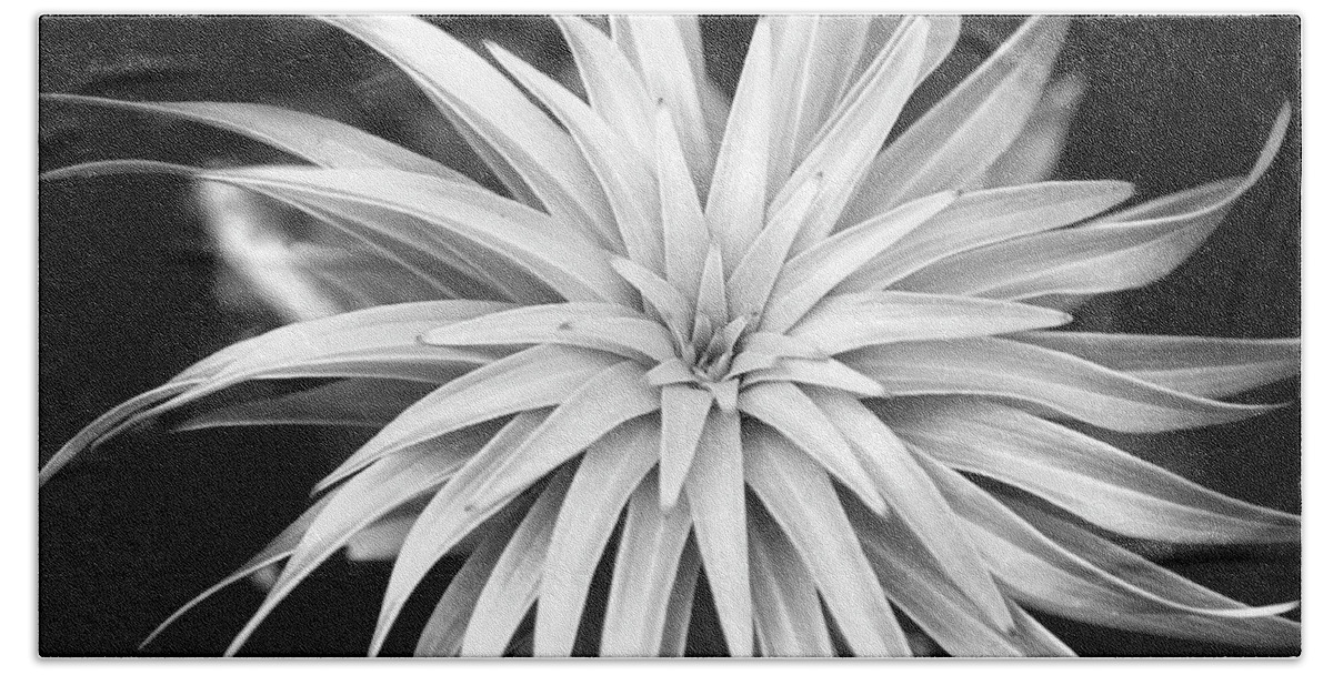 Black And White Beach Sheet featuring the photograph Spiral Black and White by Christina Rollo