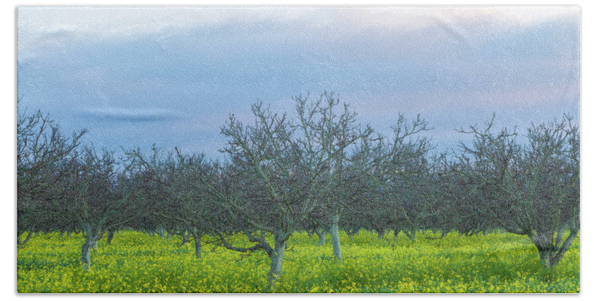 Brassica Rapa Beach Towel featuring the photograph Spring At The Farm by Jonathan Nguyen