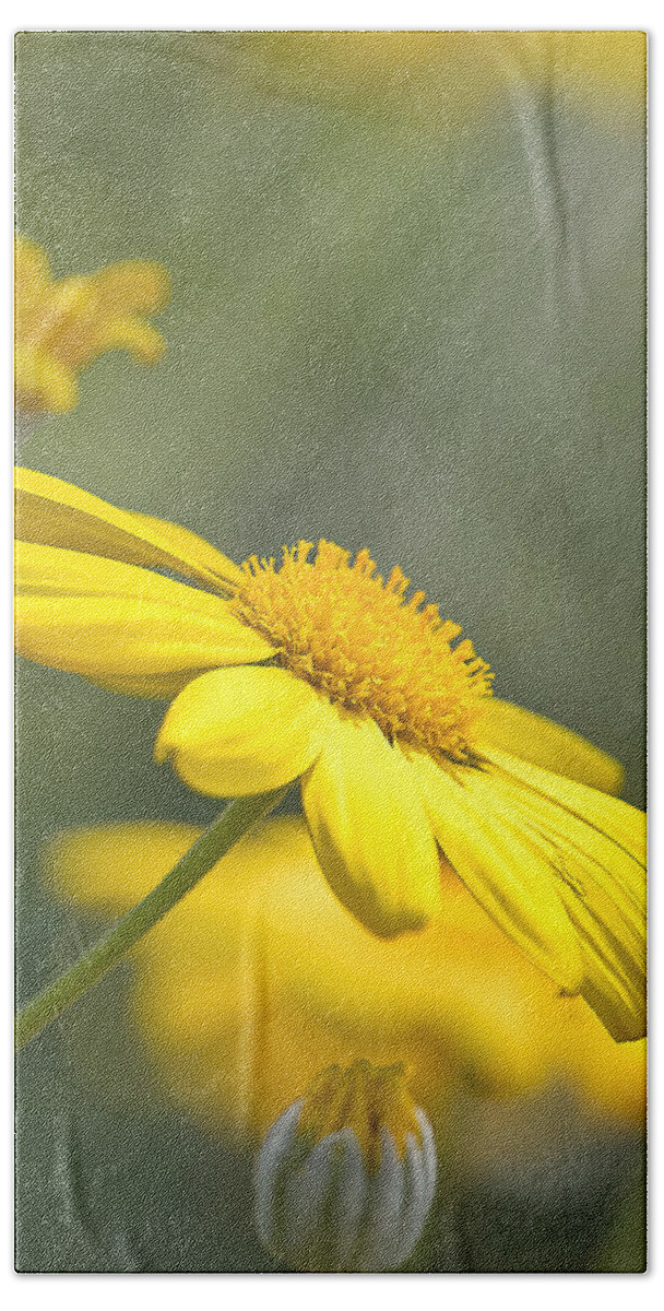 Background Beach Towel featuring the photograph Spring Bloom by Rick Nelson
