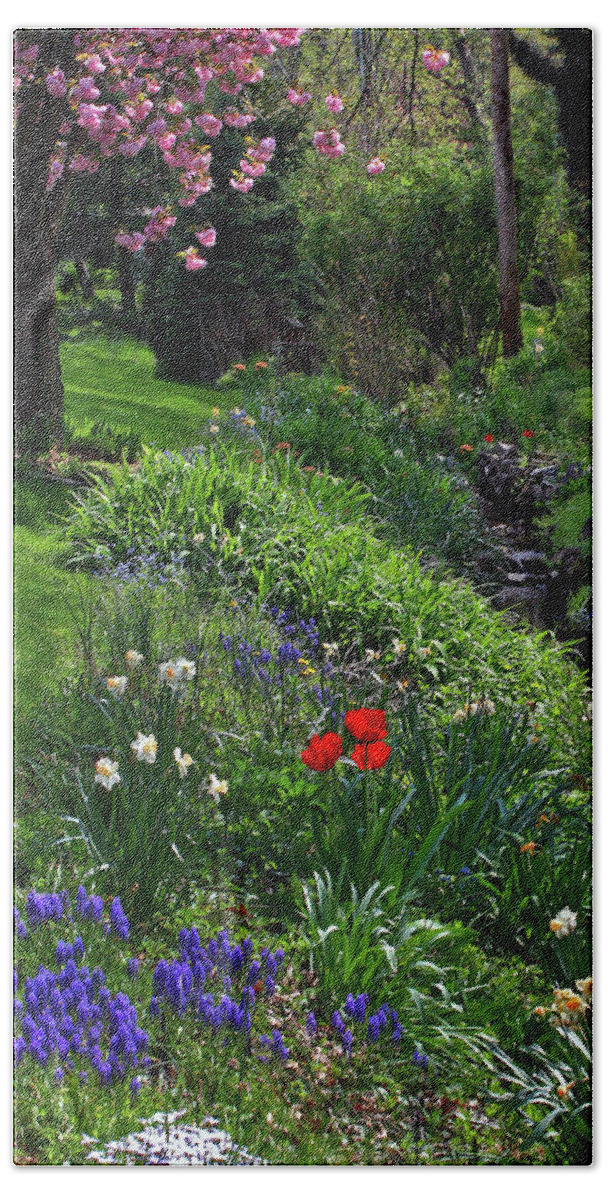Spring Beach Towel featuring the photograph Spring Blossoms by Geoff Crego