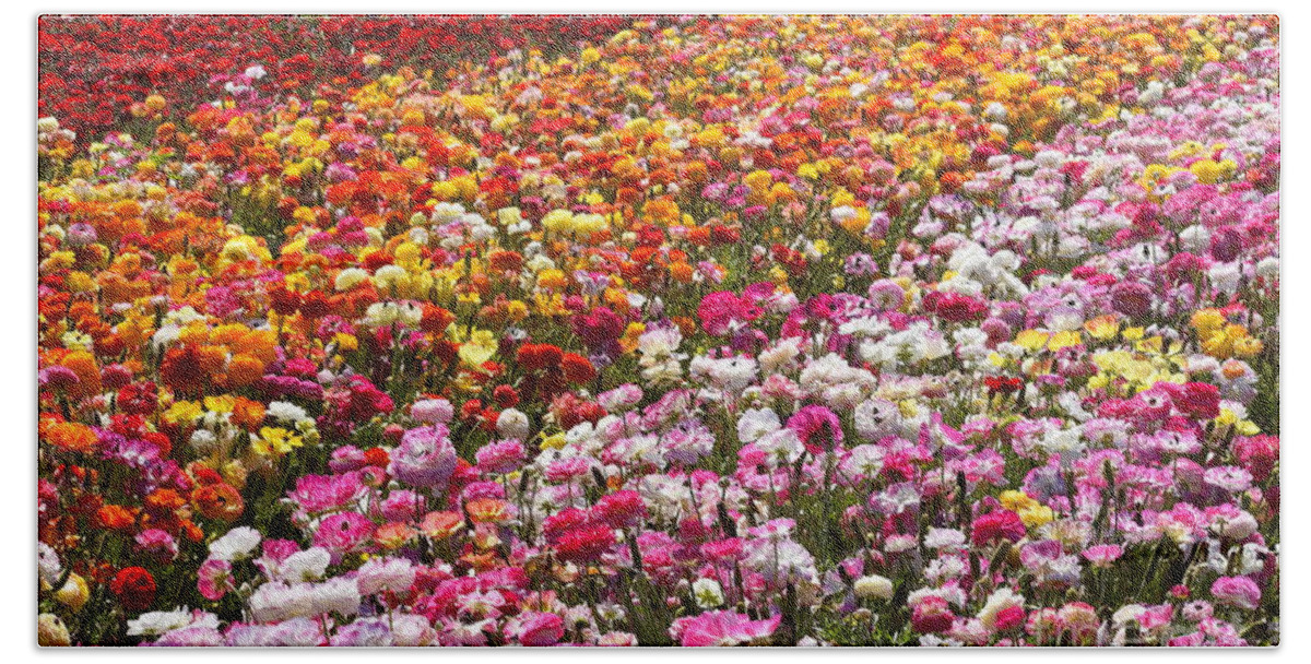 Flowers Beach Towel featuring the photograph Spring Flowers by Rich Cruse
