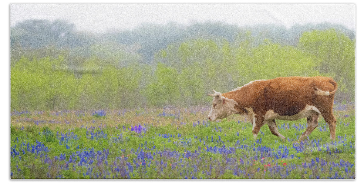 Hill Country Beach Towel featuring the photograph Spring in Texas Hill Country by Erin K Images