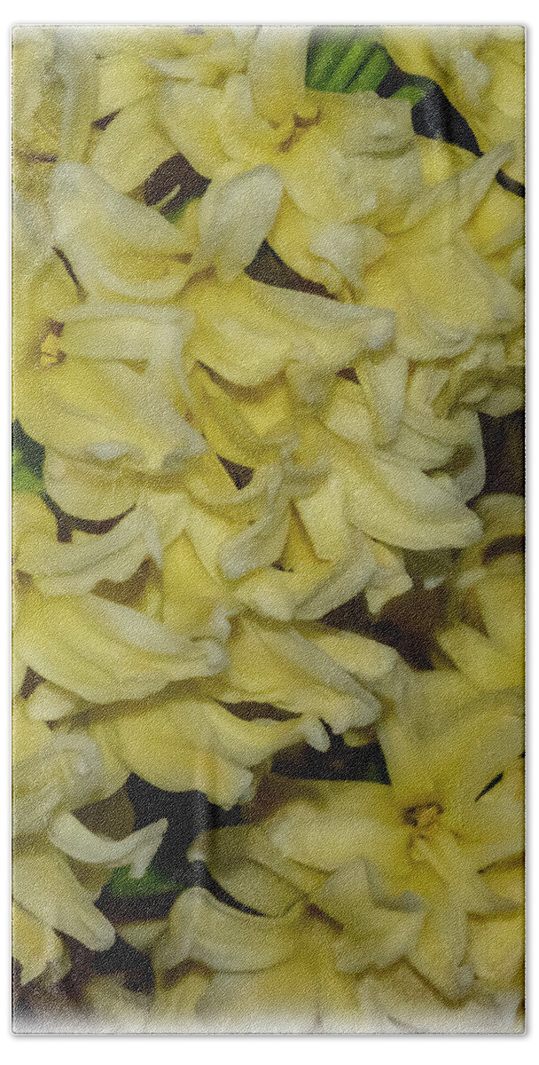 Flower Beach Towel featuring the photograph Spring Yellow by Cathy Kovarik