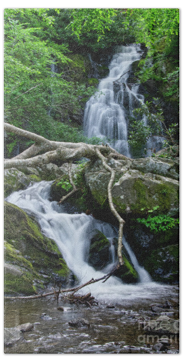 Spruce Flats Falls Beach Towel featuring the photograph Spruce Flats Falls 20 by Phil Perkins