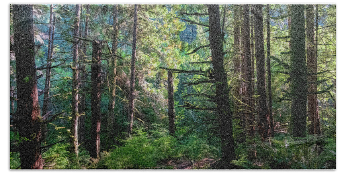 Redmond Watershed Preserve Beach Towel featuring the photograph Squirrel Trail II-2022.10.1 by Larey McDaniel