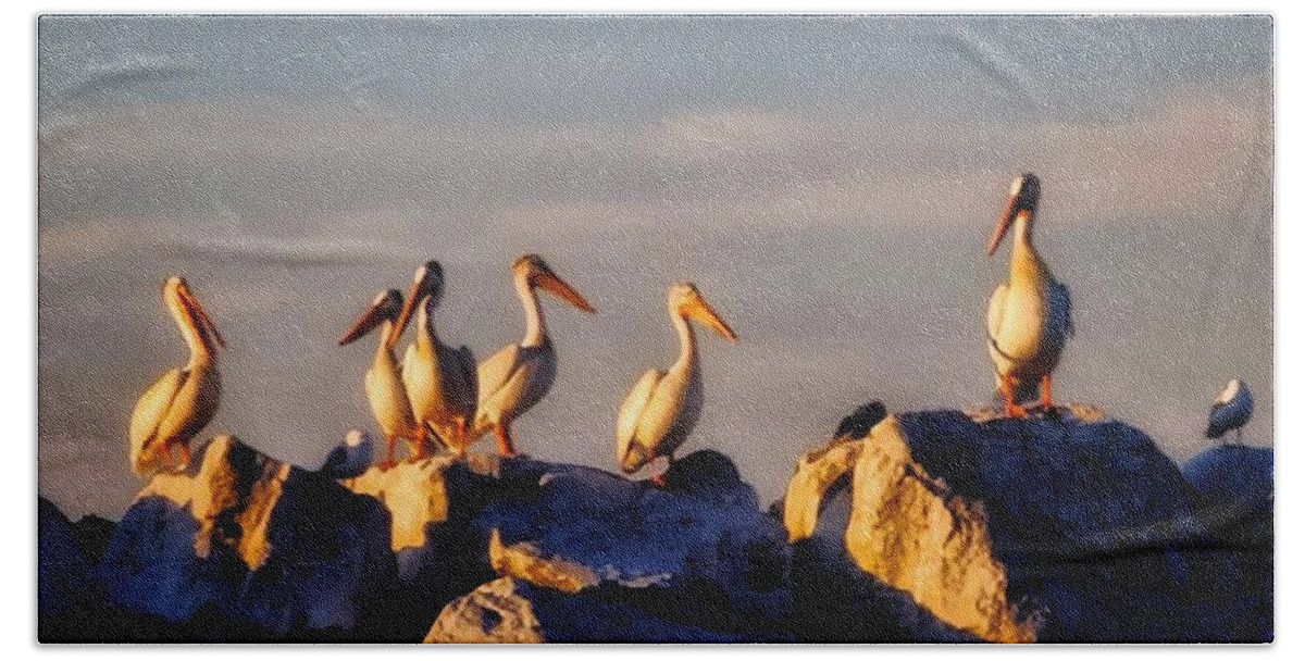 Pelicans Beach Towel featuring the photograph Stand Together Apart by Terry Ann Morris
