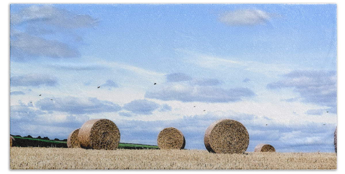 England Beach Towel featuring the photograph Straw Bales by Christopher Maxum