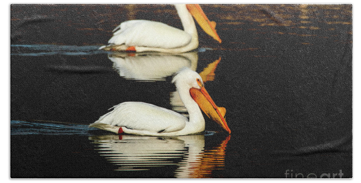 Great White Pelicans Beach Towel featuring the photograph Striking a Pose with Pelicans by Sandra J's