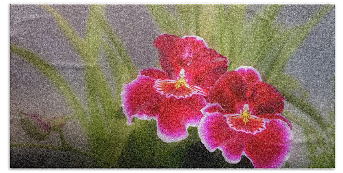 Orchid Beach Towel featuring the photograph Striking Orchids by Elvira Peretsman
