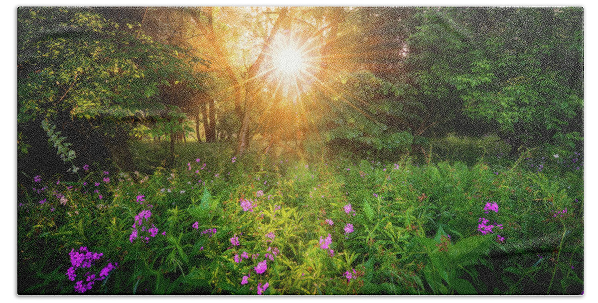 Sunrise Beach Towel featuring the photograph Summer Sunrise in Forest by Henry w Liu