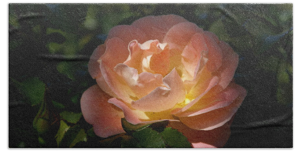  Beach Towel featuring the photograph Sun-kissed Rose by Heather E Harman