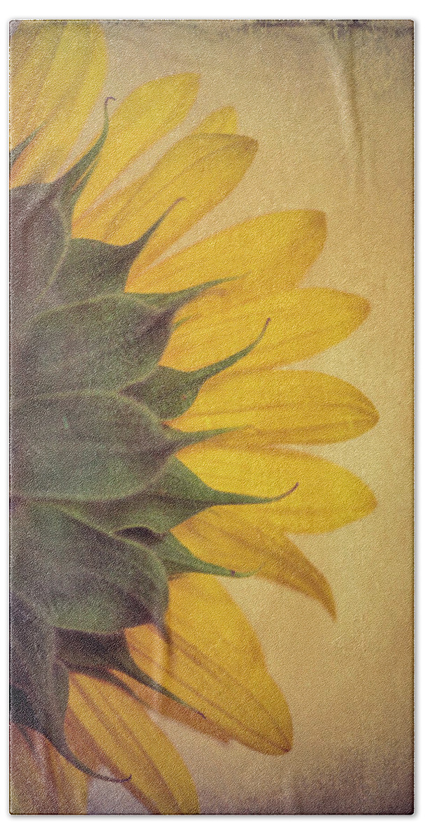 Sunflower Beach Towel featuring the photograph Sun Left by Philippe Sainte-Laudy