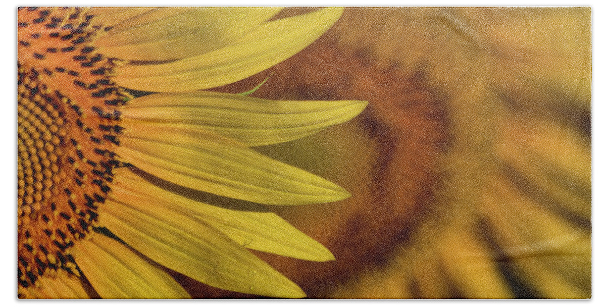 Plants Beach Towel featuring the photograph Sun-sational by Buddy Scott
