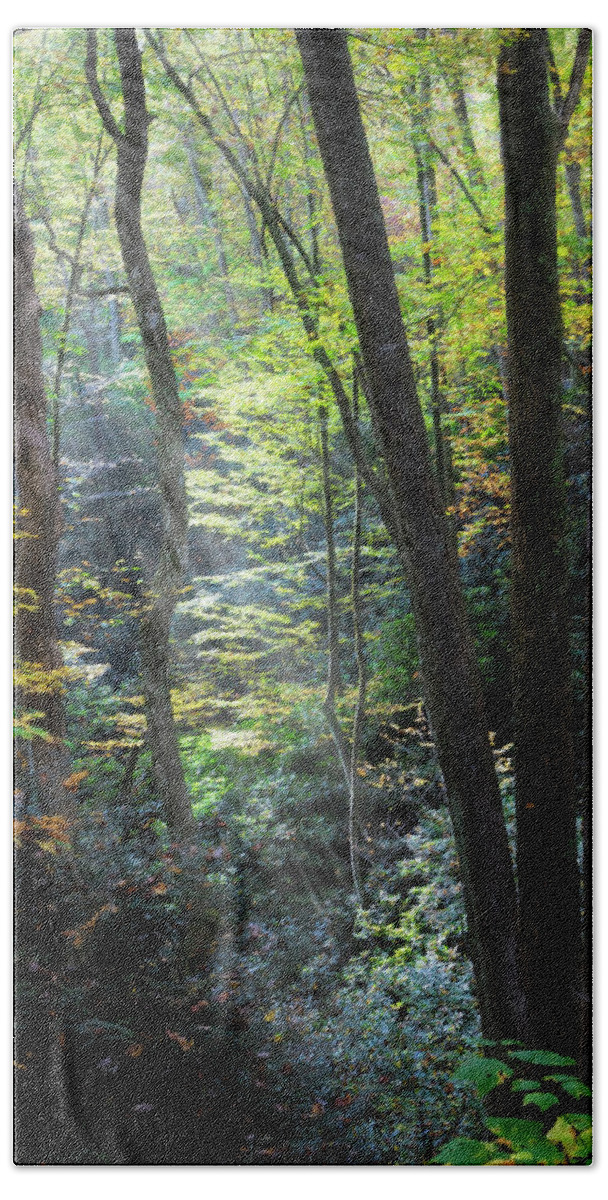 Fall Beach Towel featuring the photograph Sunbeams through the Trees Creeper Trail Damascus Virginia by Debra and Dave Vanderlaan
