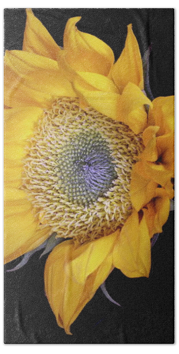Macro Beach Towel featuring the photograph Sunflower 031708 by Julie Powell