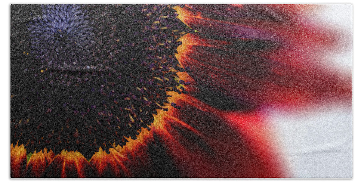  Beach Towel featuring the photograph Sunflower full of fire by Nicole Engstrom