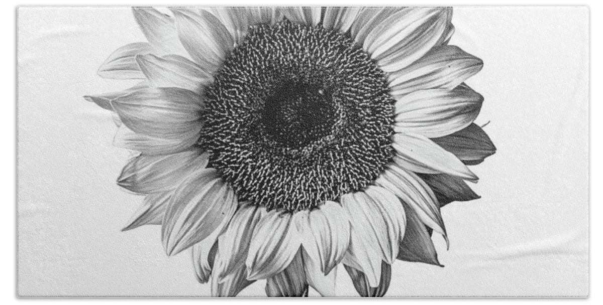 Sunflower Beach Sheet featuring the photograph Sunflower Portrait in Black and White by Diane Diederich
