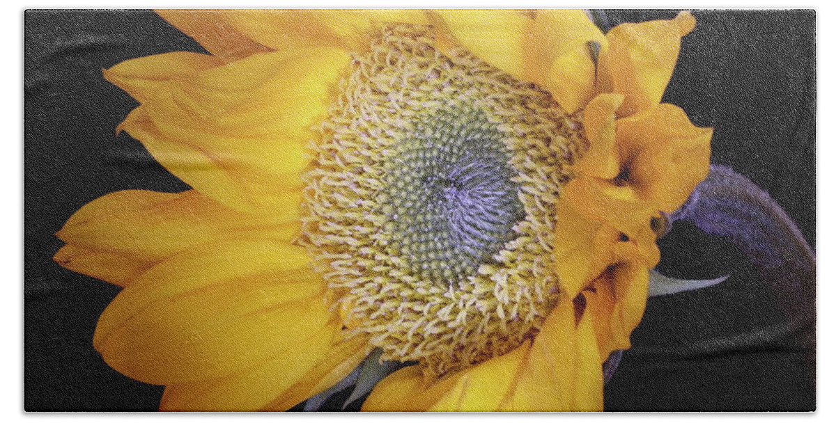 Botanical Beach Towel featuring the photograph Sunflower Square by Julie Powell