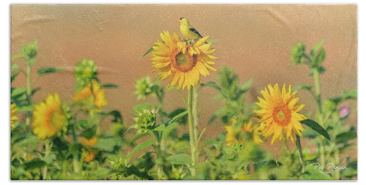 Field Of Flowers Beach Towel featuring the photograph Sunflower Sunrise by Peg Runyan