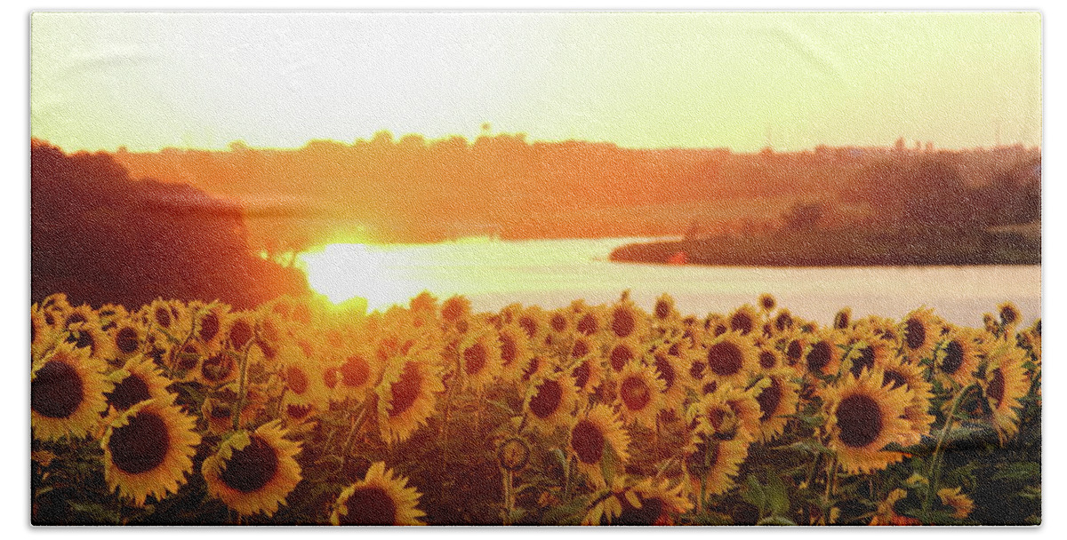Summer Beach Towel featuring the photograph Sunflowers At Sunset by Lens Art Photography By Larry Trager