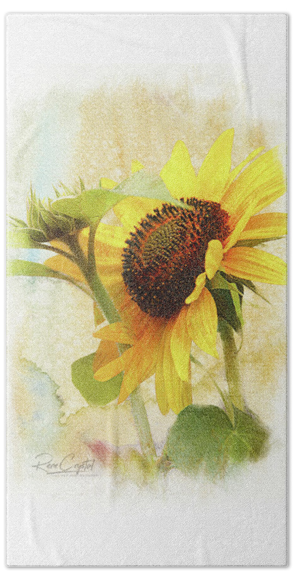 Sunflowers Beach Towel featuring the photograph Sunflower Sunshine by Rene Crystal