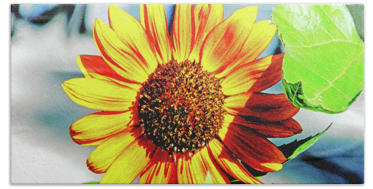 Sunflower Beach Towel featuring the photograph Sunflowers for Ukrain Day 8 by Lizi Beard-Ward