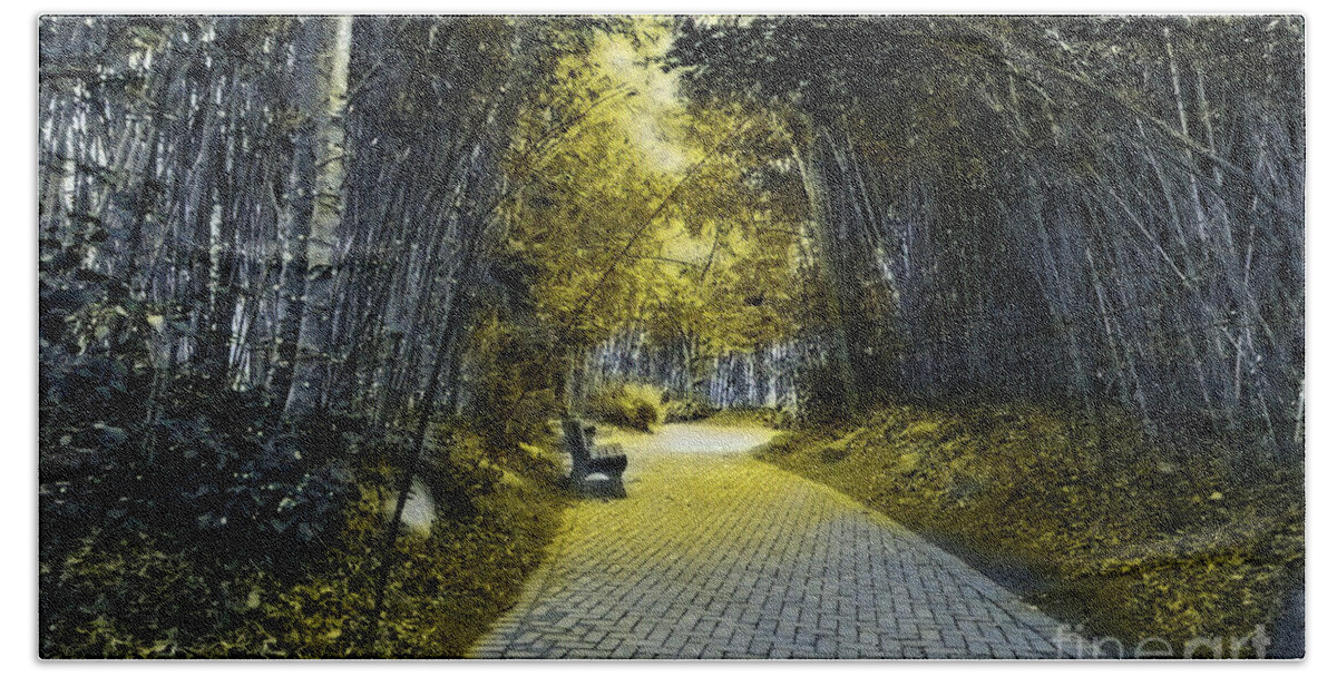 Bench Beach Towel featuring the mixed media Sunlit Path through the Bamboo by Bentley Davis