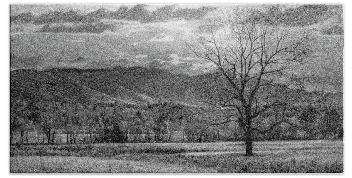 Tree Beach Towel featuring the photograph Sunset Clouds in Cades Cove Black and White by Debra and Dave Vanderlaan