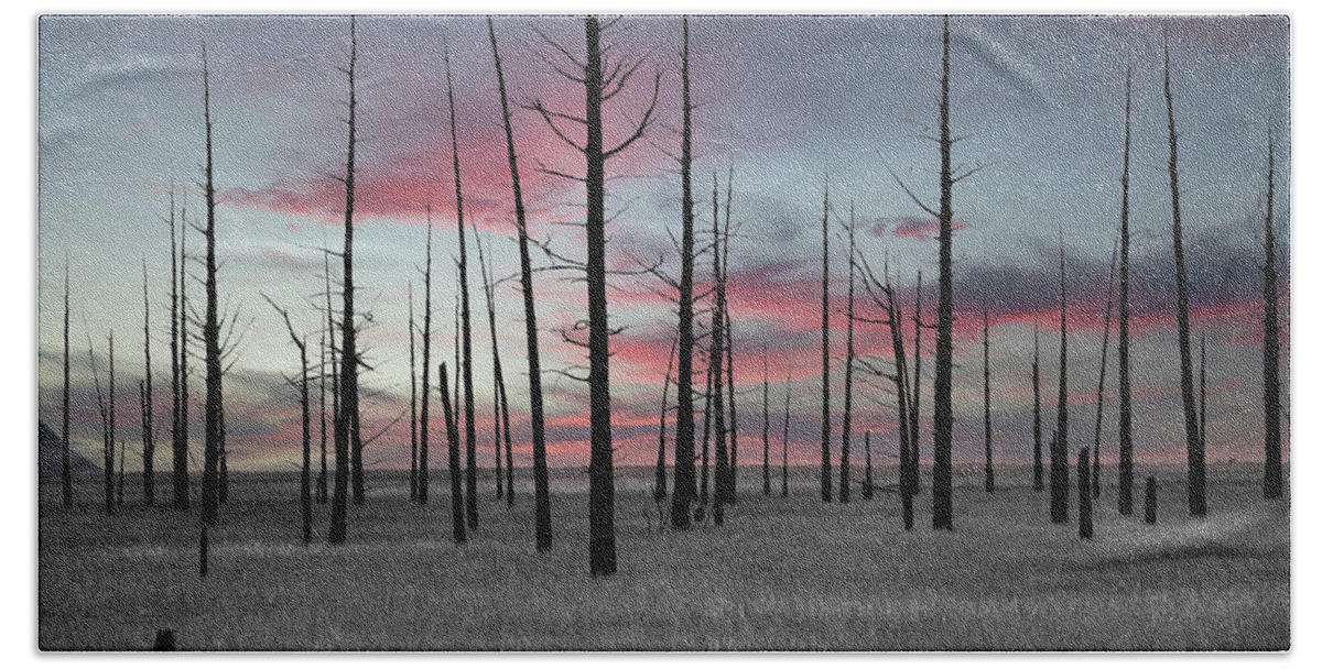 Art Beach Towel featuring the photograph Sunset in the Cedar Swamp by Louis Dallara
