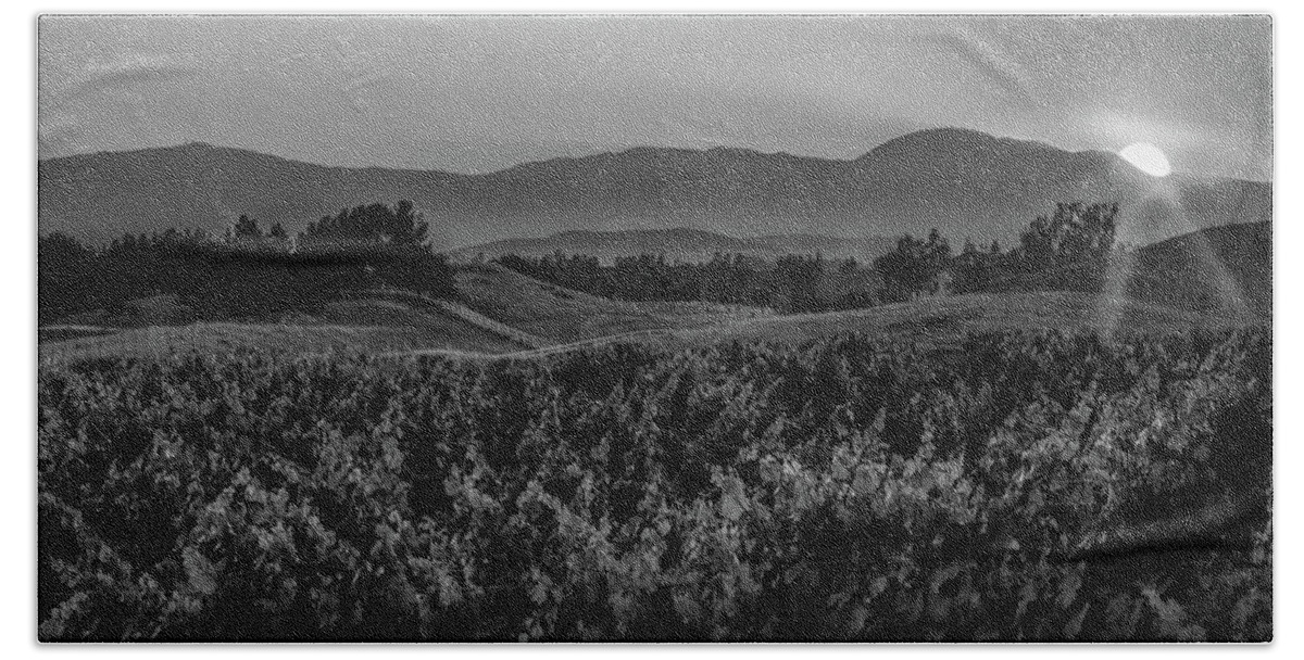 California; Farmland; Fine Art; Landscape; Rural; Temecula; Vineyards; Fruit; Vines; Vineyard; Wine; Hills; Fence; Sun; Sunset; Spectacular Sunset; God Rays; Crepuscular Rays; Peace; Peaceful; Pasture; Paradise; Serenity; Food; B & W; Black & White; Black And White; Monochrome; Mono; Hi Rez; High Resolution; Panorama; Panoramic; Ranch; Wine Country; Socal; Small Town; West Coast; Ca; Wine; Country Beach Towel featuring the photograph Sunset over the Vineyard Black and White by Peter Tellone