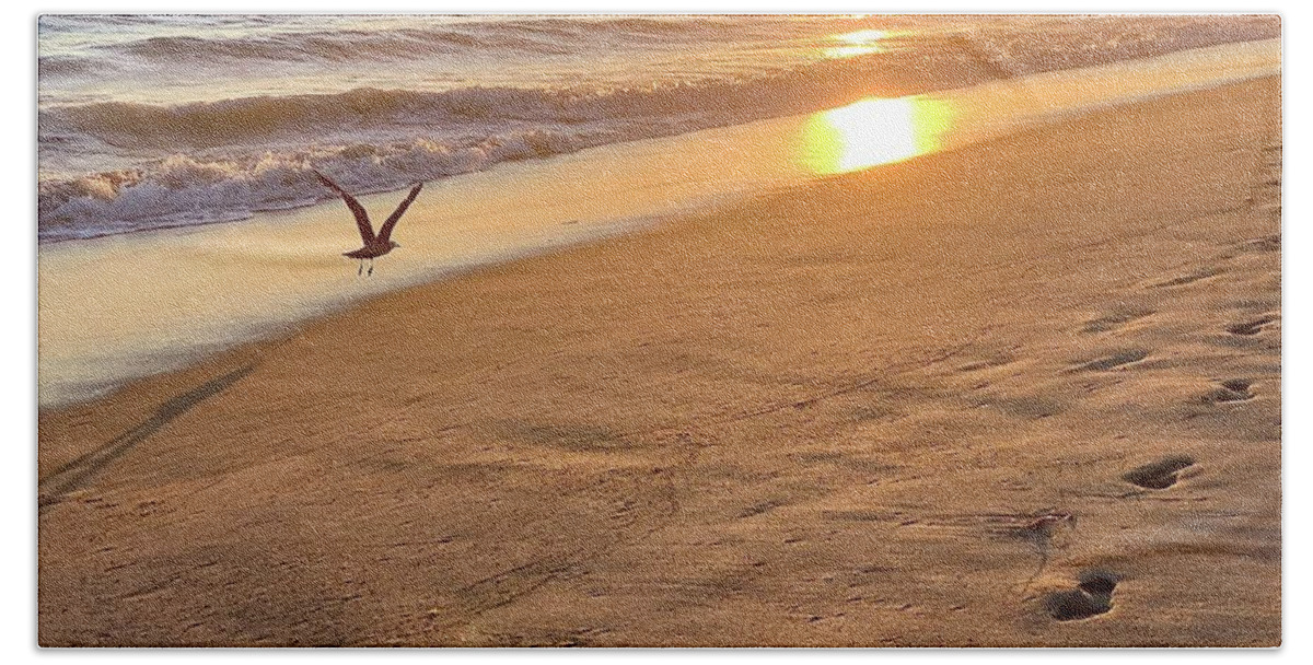Sunset Beach Towel featuring the photograph Sunset Seagull by Brian Eberly