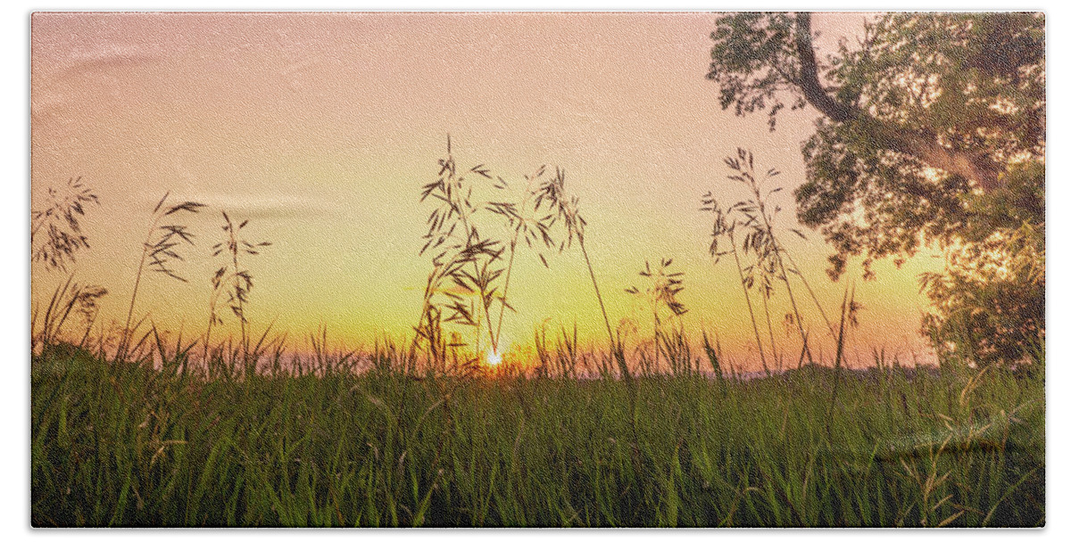 Trexler Beach Towel featuring the photograph Sunset Through the High Grass by Jason Fink