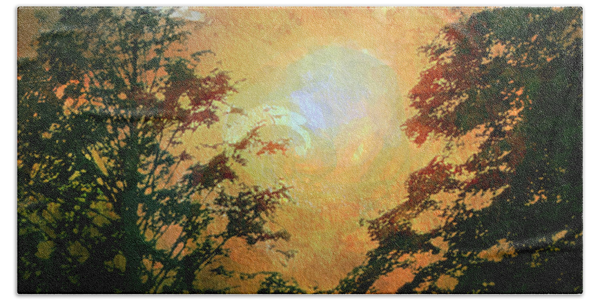 Tree Beach Towel featuring the photograph Sunset Vortex by Carol Whaley Addassi