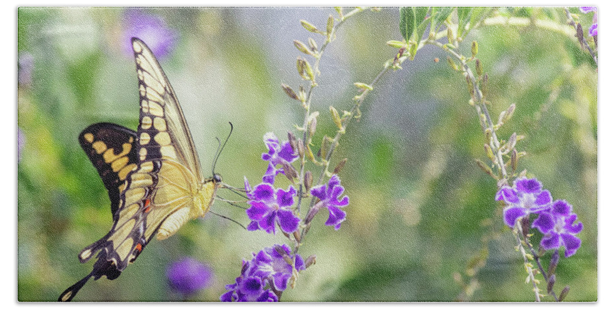 Butterfly Beach Towel featuring the photograph Swallowtail on Duranta Flowers by Susan Gary