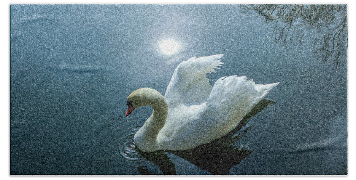Swan Beach Towel featuring the photograph Swan 4 by Cindy Robinson