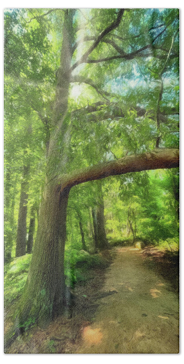 Narrow Path Beach Towel featuring the photograph Take the Narrow Path by Michael Frank