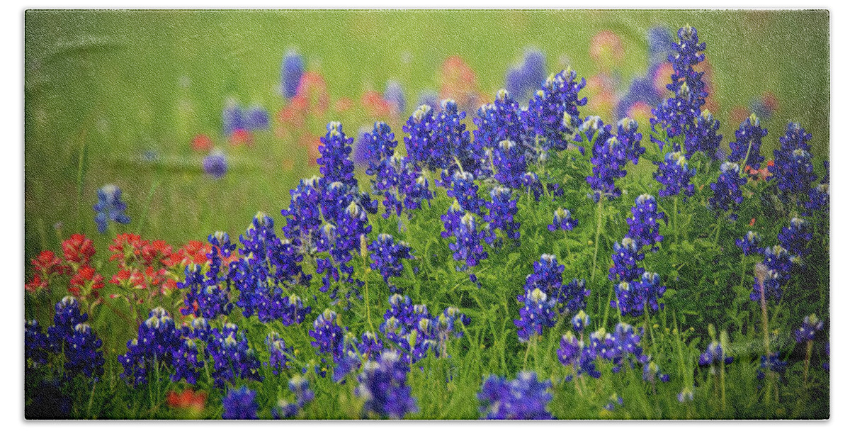Bluebonnets Beach Towel featuring the photograph Texas Wildflowers by Pam Rendall