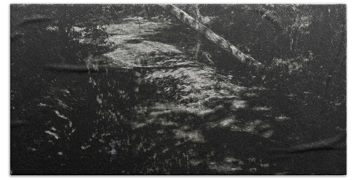 Alabama Beach Towel featuring the photograph Textures in the Woods by George Taylor
