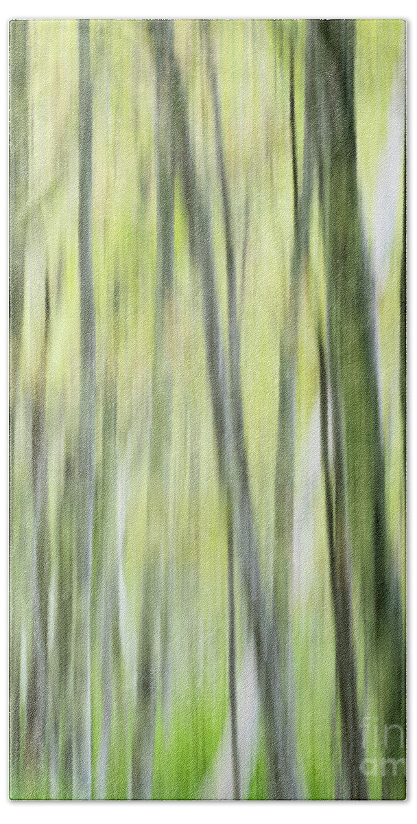 Tree Beach Towel featuring the digital art The Birch Trees by Lorraine Cosgrove