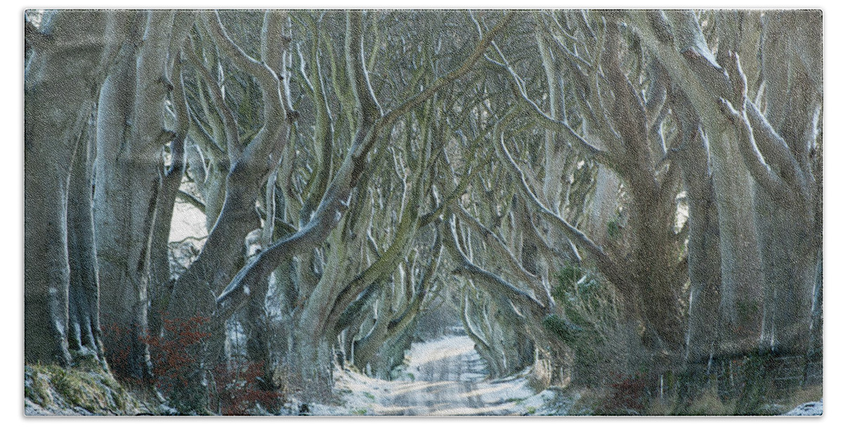 Northern Ireland Beach Towel featuring the photograph The Dark Hedges, North Ireland, UK by Sarah Howard
